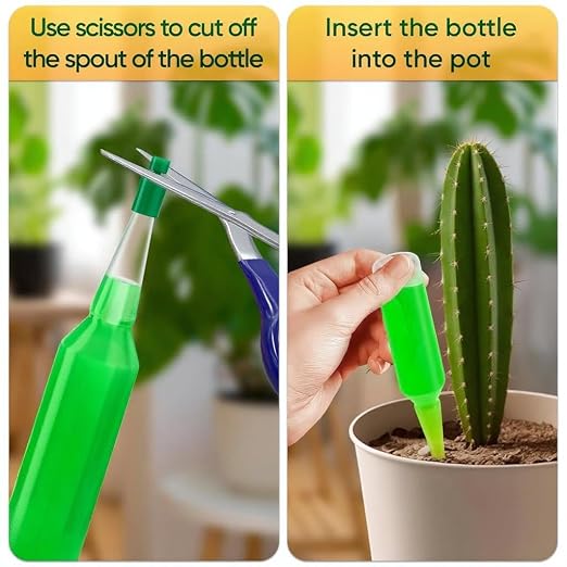 12_cactus