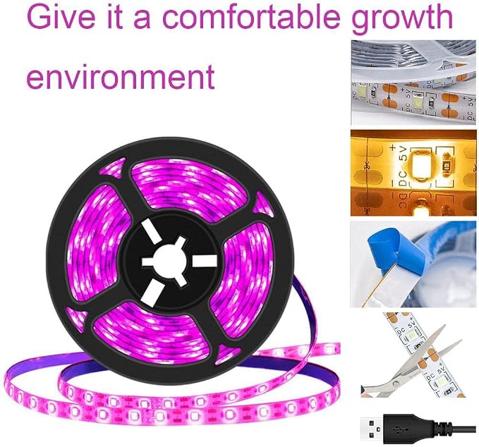 Waterproof (A) 5m light strip
