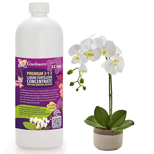 PHALAENOPSIS