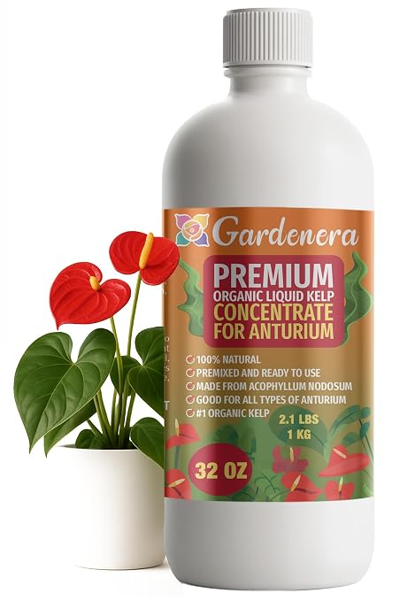 ANTHURIUM