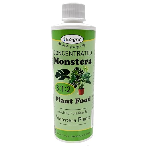 Monstera