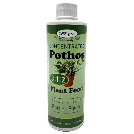 Pothos