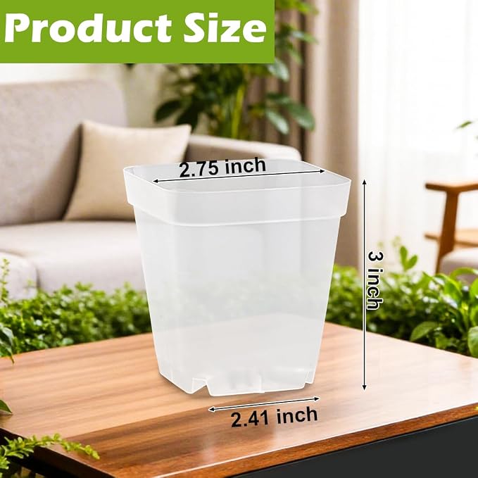 Clear Pot+domes 60p