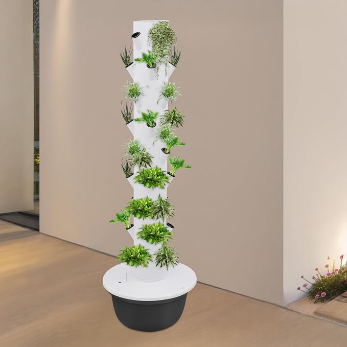 36-plant, Black