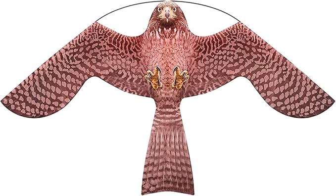 Brown-Pink