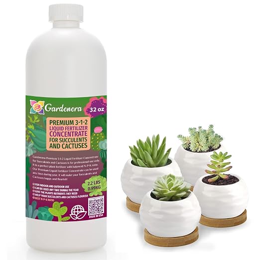 SUCCULENT & CACTUS