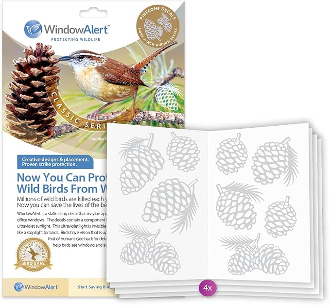 Pinecone