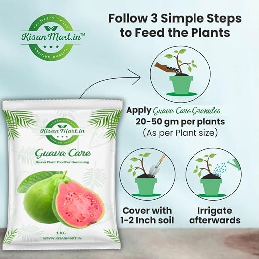 Guava