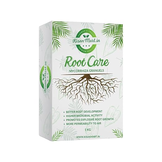 Root Care