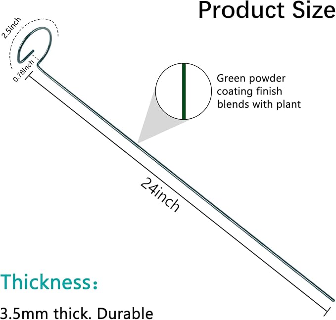 24 inch-Green