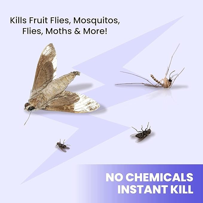 Indoor Bug Zappers 2PK
