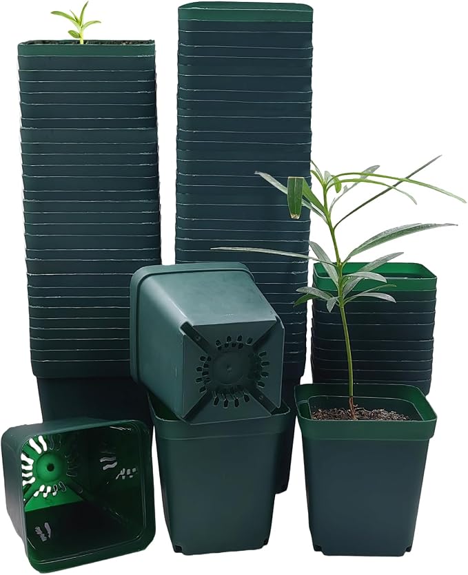 Green-90p