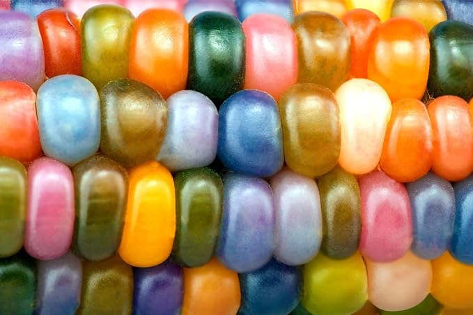 Glass Gem Corn