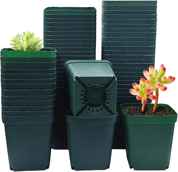 Green-60p