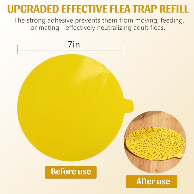 Grey Flea Trap x 2