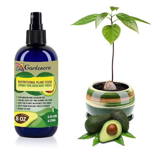 AVOCADO