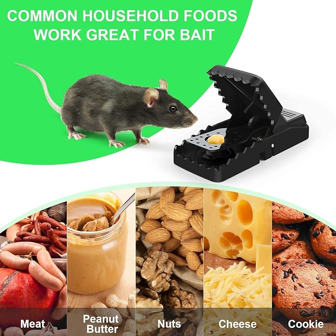 Rat Traps Large 6-Pack