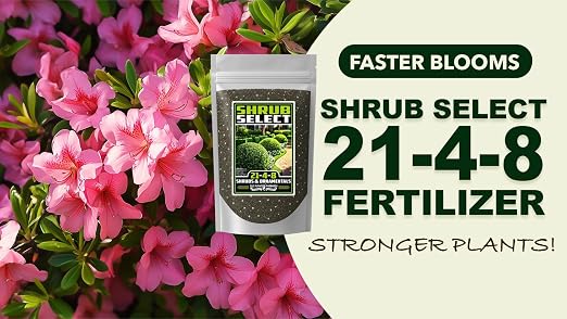 Shrub Select