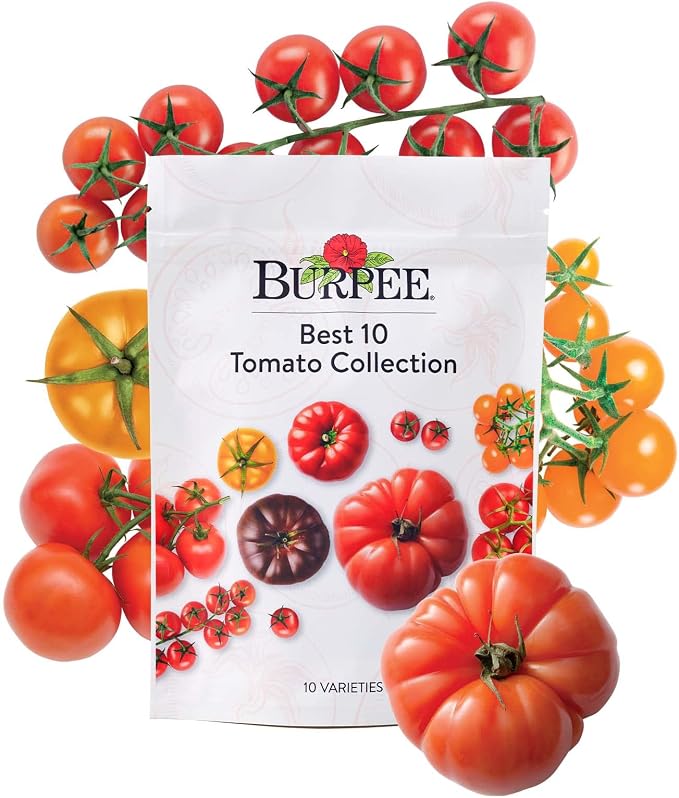Best 10 Tomato Collection