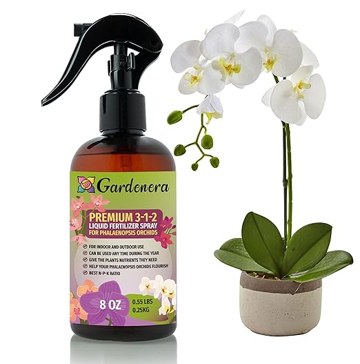 PHALAENOPSIS