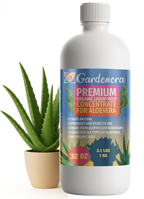 ALOE