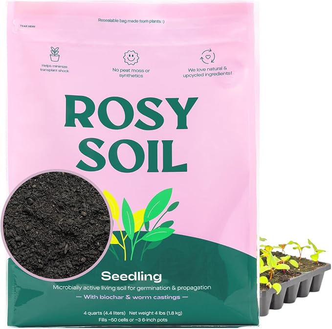 Seedling