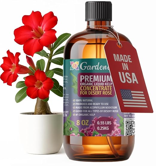 DESERT ROSE