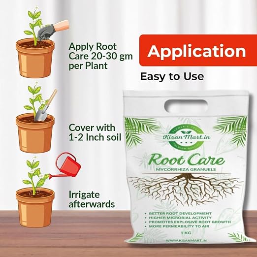 Root Care