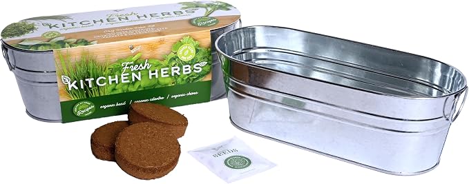 Kitchen Herbs