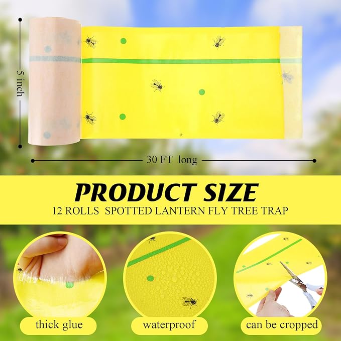 Yellow and Green