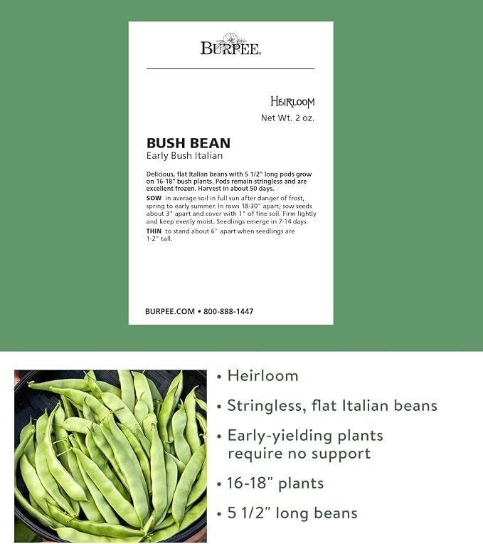 Early Italian