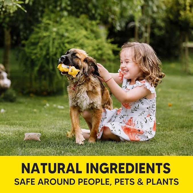 __DEFAULT__