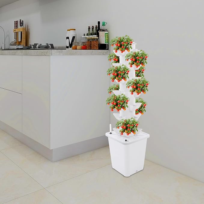35-plant, White