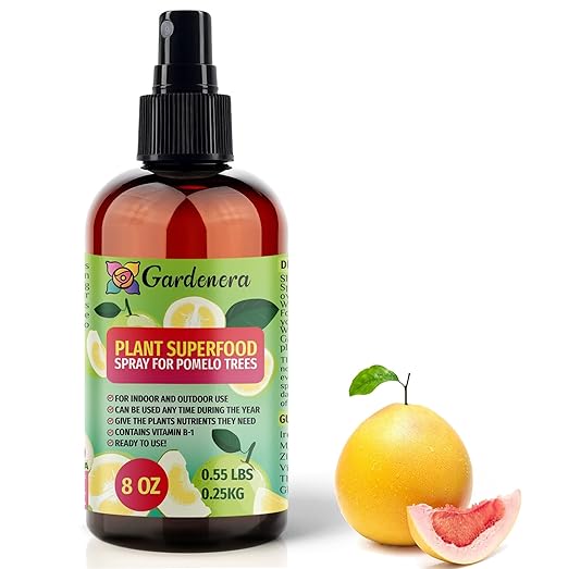 POMELO Plants Superfood