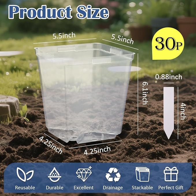 Clear Pot+lable-30p
