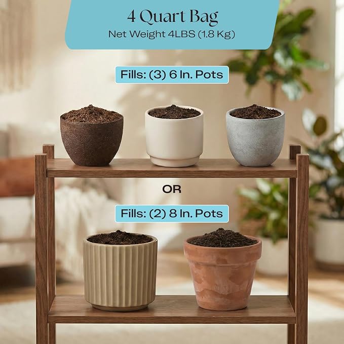 Houseplant