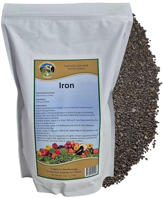 Iron