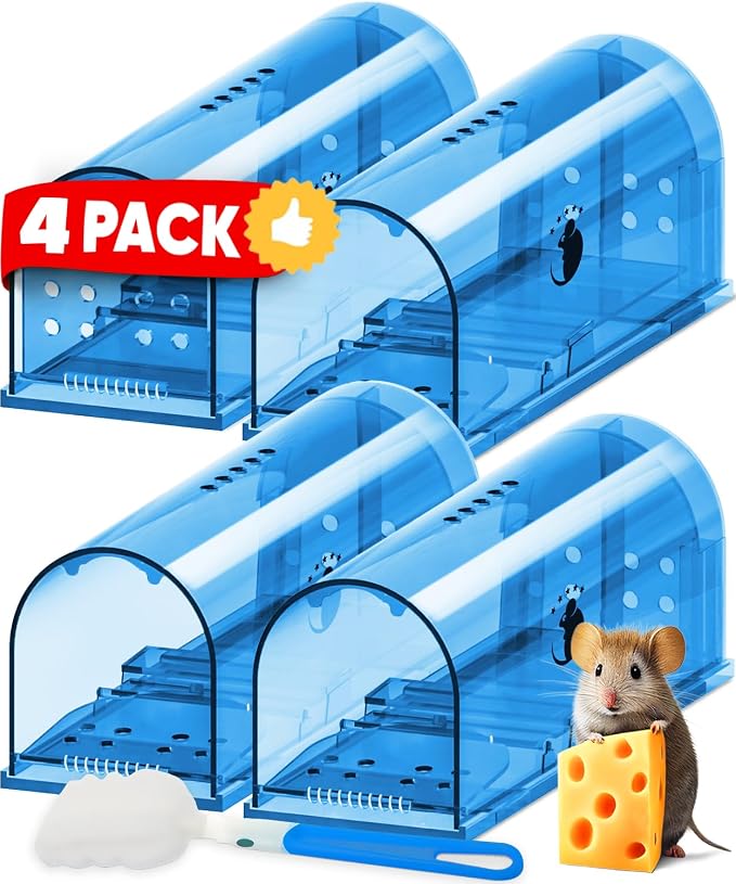 4 Pack - Blue