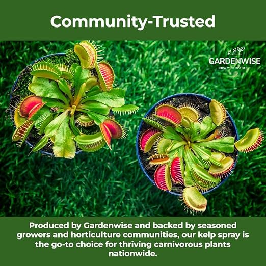 Marina Mist Carnivorous Plant Spray