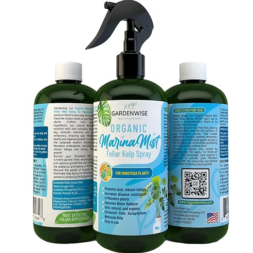 Marina Mist Monstera Spray