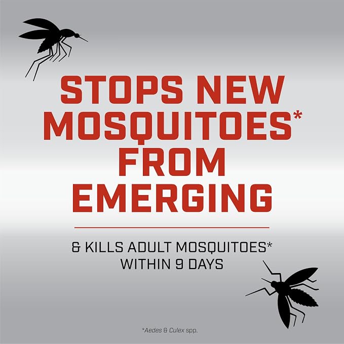 Mosquito Station + Bands