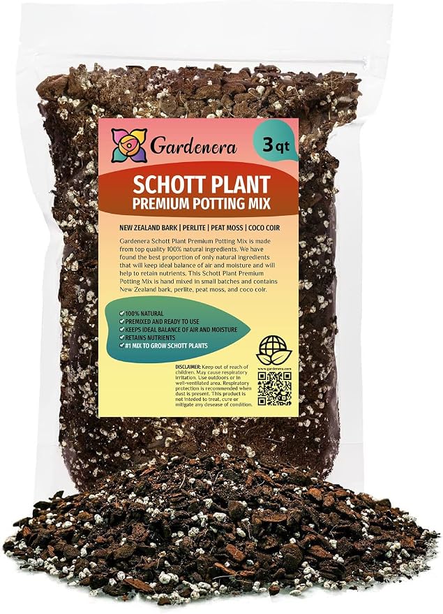 Monstera Lechleriana Schott Soil Mix