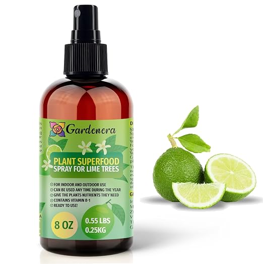 LIME Plants Superfood