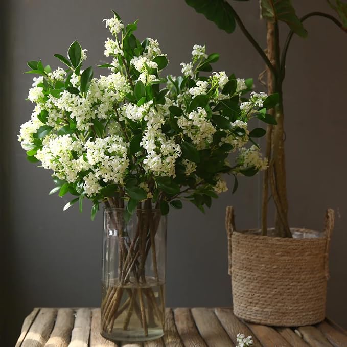 night-jasmine