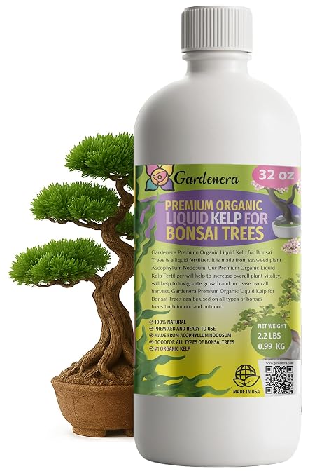 BONSAI TREES