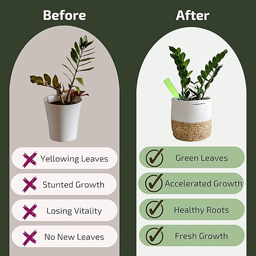 Houseplant Fertliizer