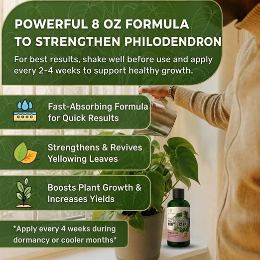 Philodendron
