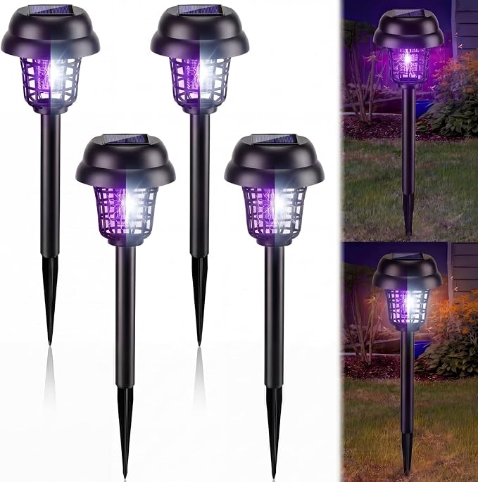 Purple and White Light, Black