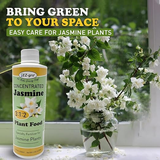 Jasmine