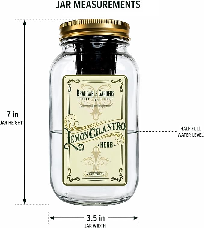 Lemon Cilantro